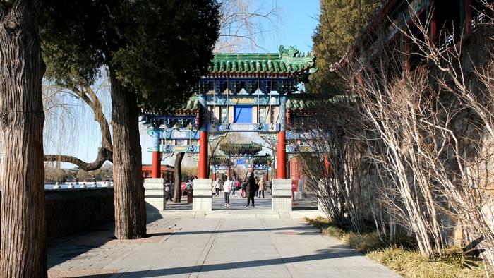 富士x-t4视频表现,富士x-t42020款