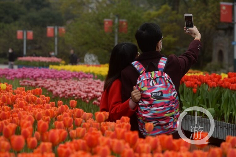 南山植物园现在还有什么,南山植物园花盛开
