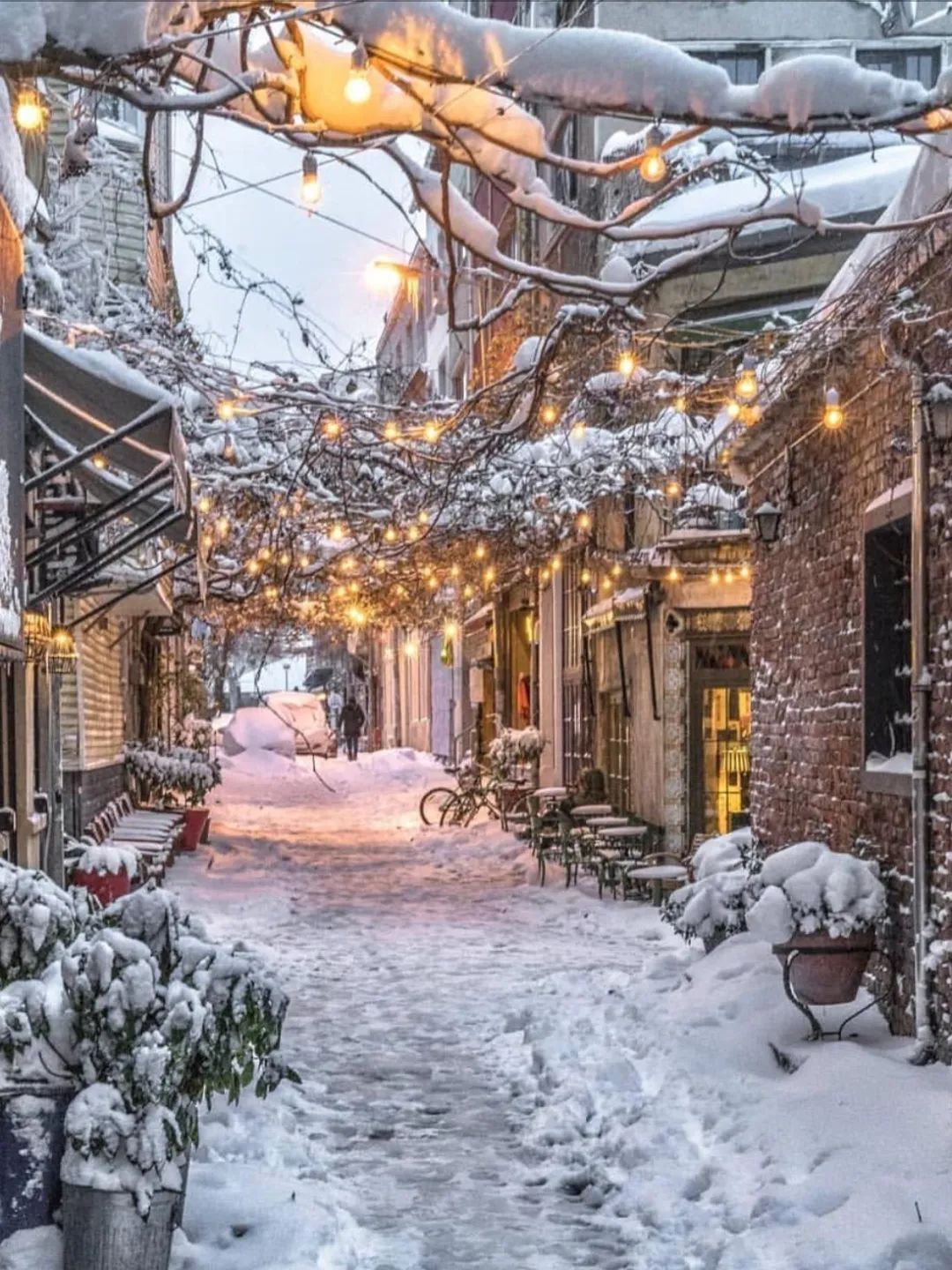 寻香|五彩斑斓的黑算什么，来见识一下五光十色的白