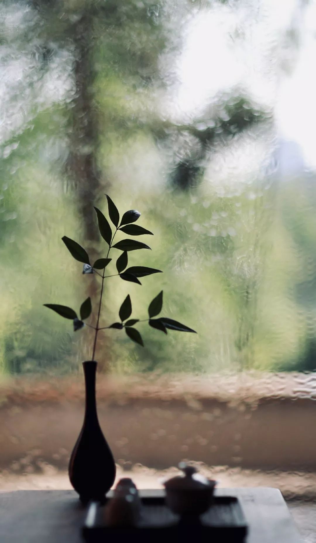 学会修心养心静心,修心养心静心随缘