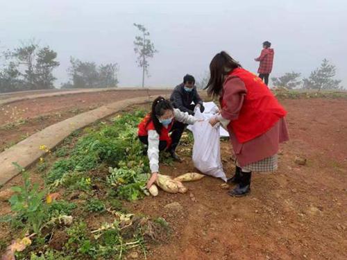 又是一年春来早家乡景色,又是一年春来早万物逢春在今朝