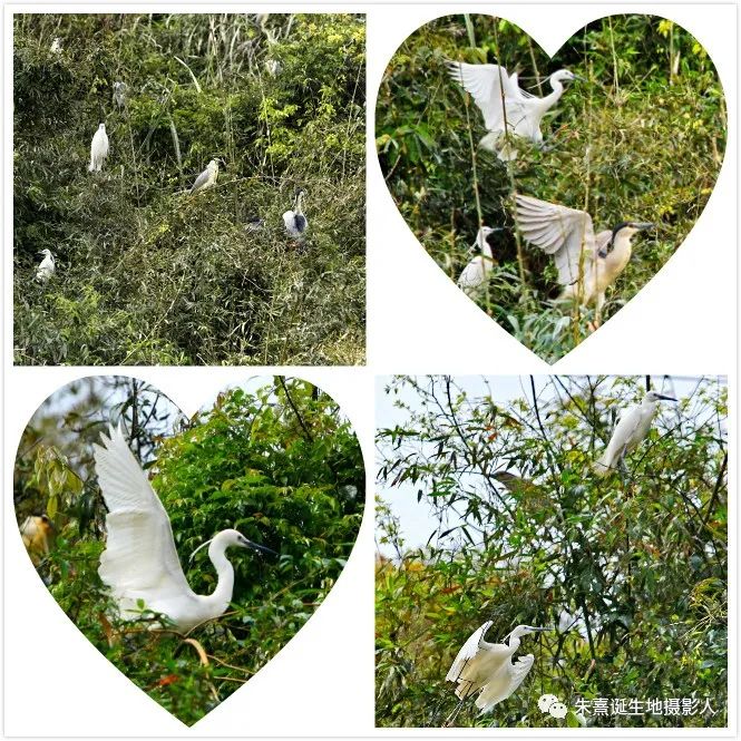 家在景区,家在旅游景区是什么体验