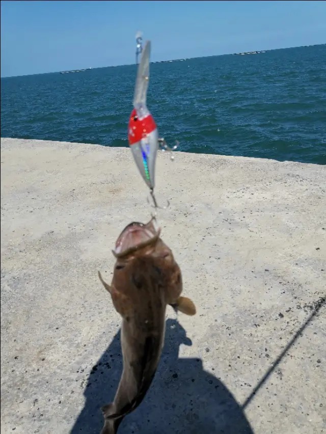 路亚一步到位还是循序渐进好,摸索反思