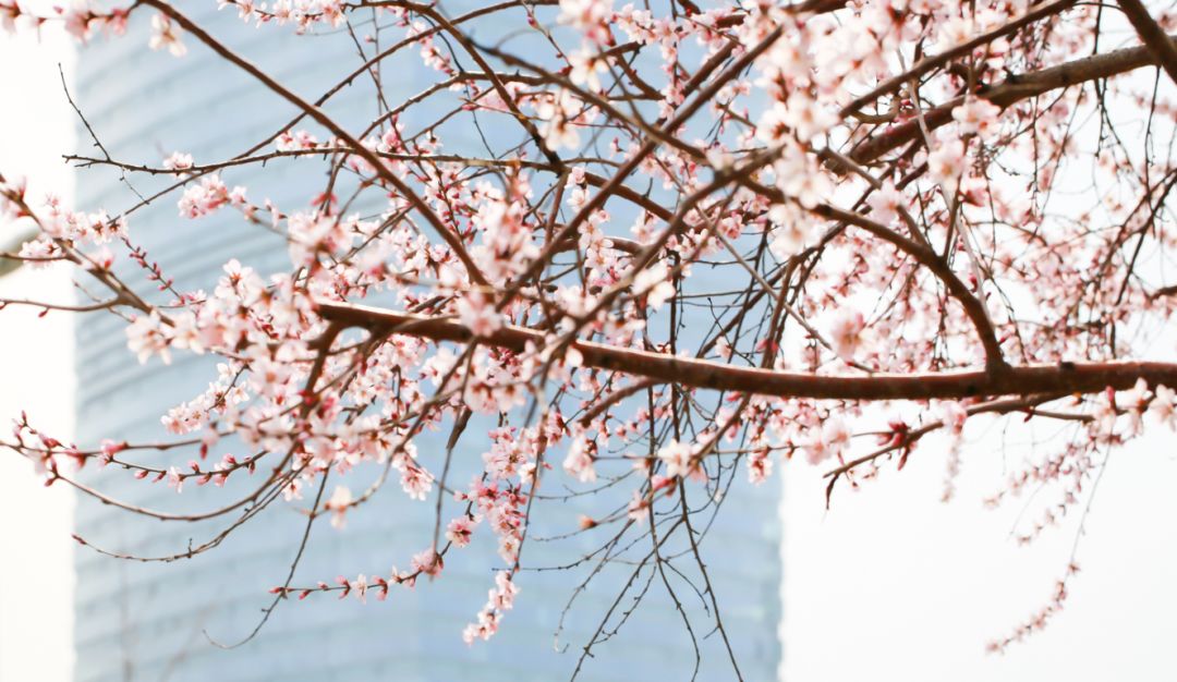 辽宁省被国务院表扬的地方,辽宁一日游必去景点排名一览表