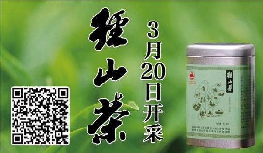 问茶③｜失而复得的径山茶，耄耋老人用毕生书写与径山的一世茶缘