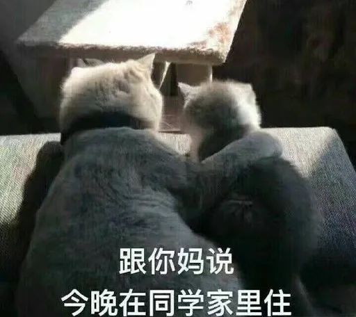 为了催生发液赶紧发货,我连续熬夜30天最后熬成了徐峥