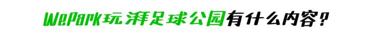 踢球就能攒芝麻信用！全国首家体育信用场馆就在青羊！