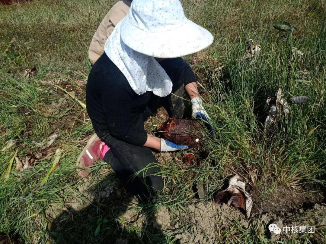 抗击疫情复工复产脱贫攻坚,复工复产疫情防控扶贫