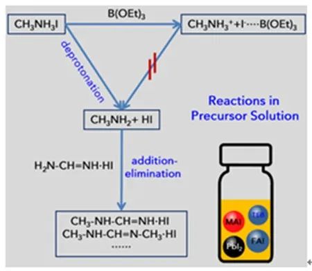 健康码基本实现全国通行；我科学家精准“删除”动物特定记忆丨科技早新闻