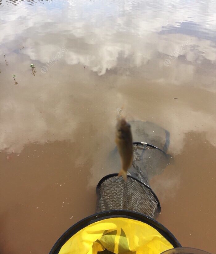 身着战袍,穿上节日盛装为祖国庆生