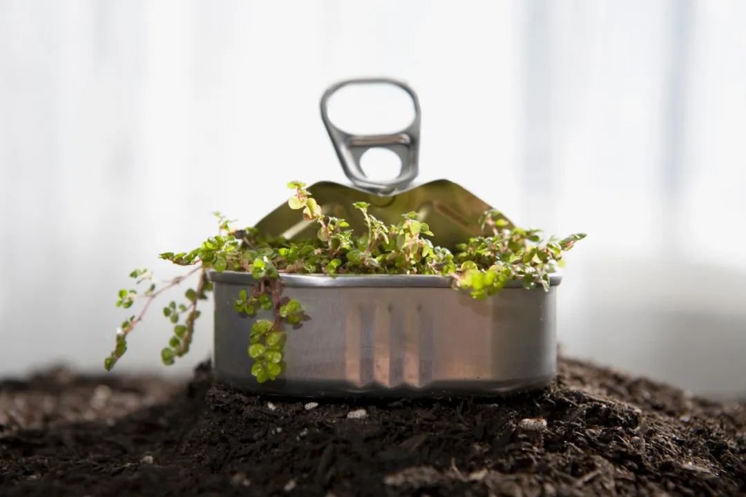 托卡尔丘克诺奖发言,诺奖得主托卡尔丘克新书首发