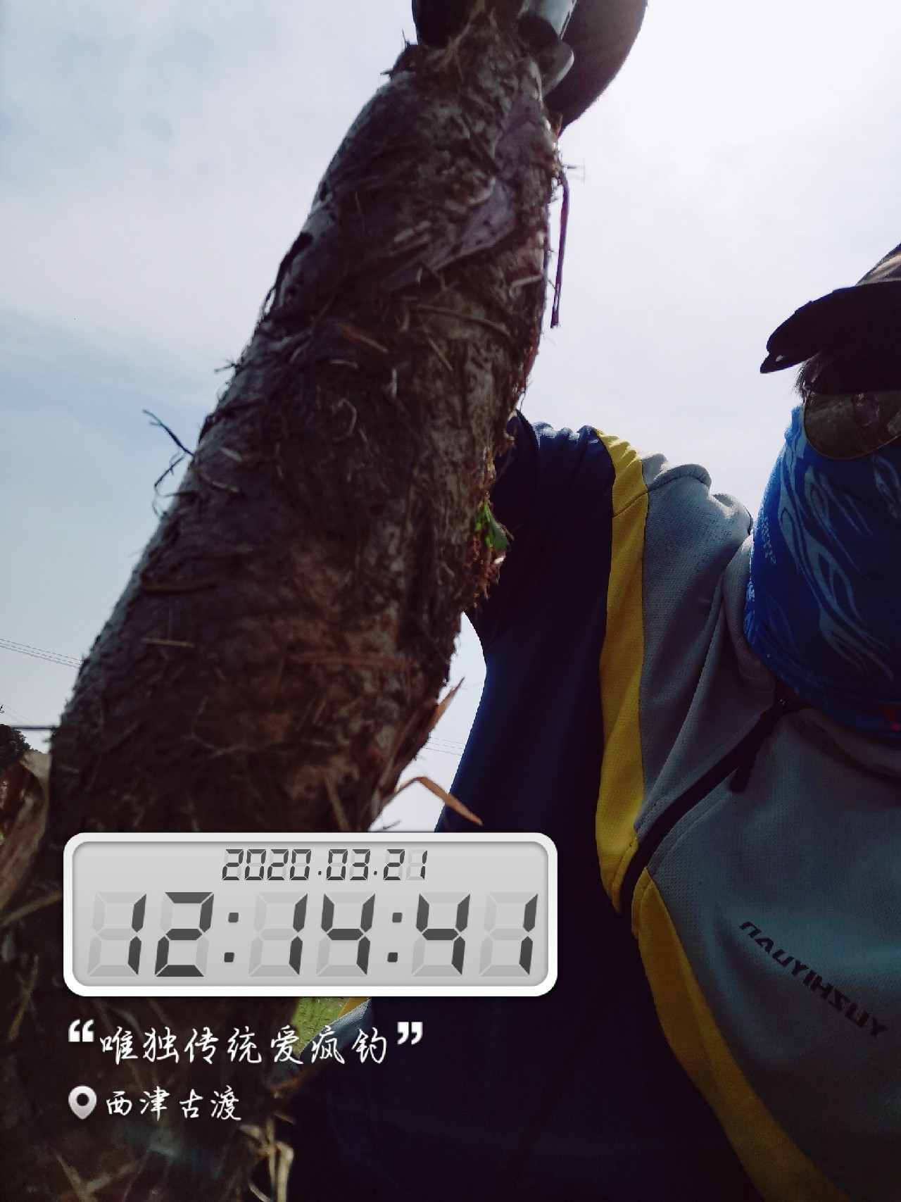 路亚雷强水老鼠,2022路亚雷强视频