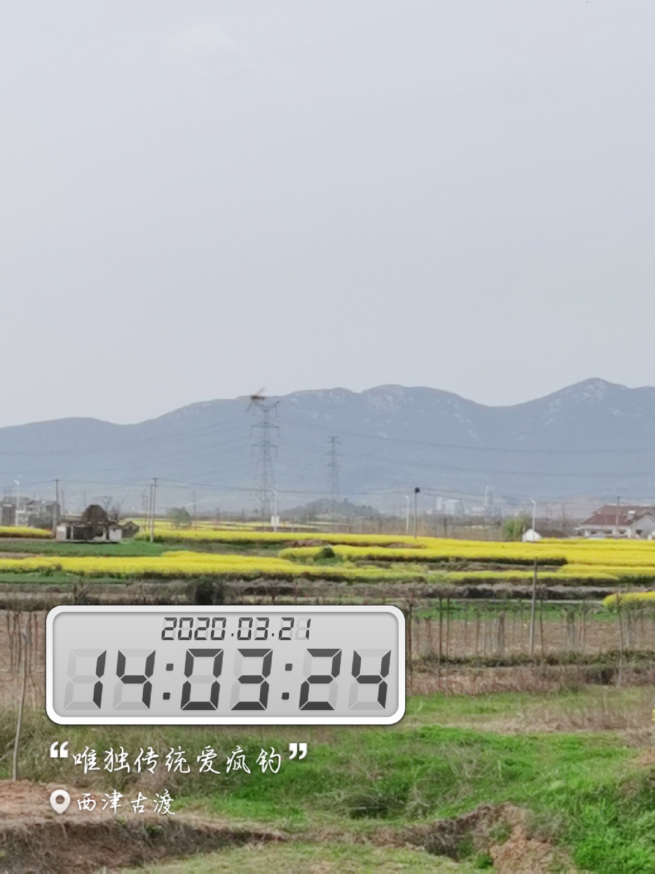 路亚雷强水老鼠,2022路亚雷强视频