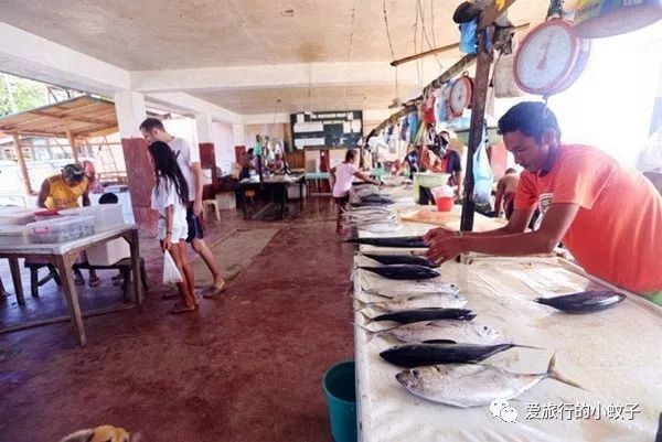 菲律宾最好的冲浪地点,菲律宾哪里适合冲浪