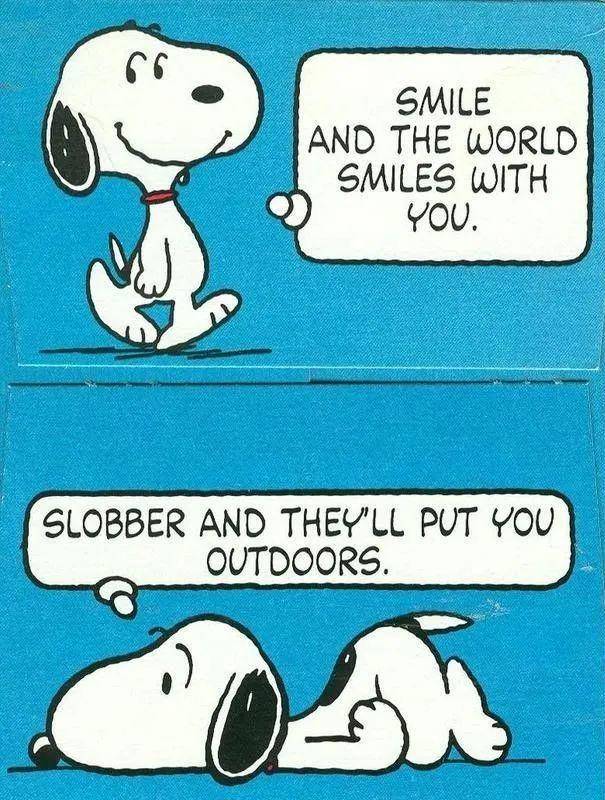 史努比简易漫画,史努比漫画全集70周年纪念版