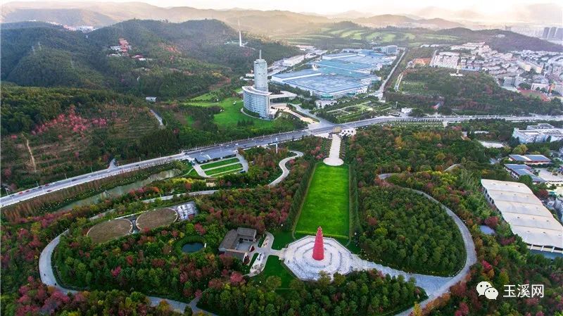 诗情画意文峰路,诗情画意岩茶