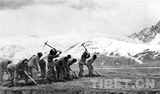 阿沛阿旺晋美的突出贡献,阿沛阿旺晋美对西藏做出的贡献