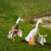 一元秒杀!买就送!杭州这场60多万人围观的“抢购大战”,你抢到了吗?