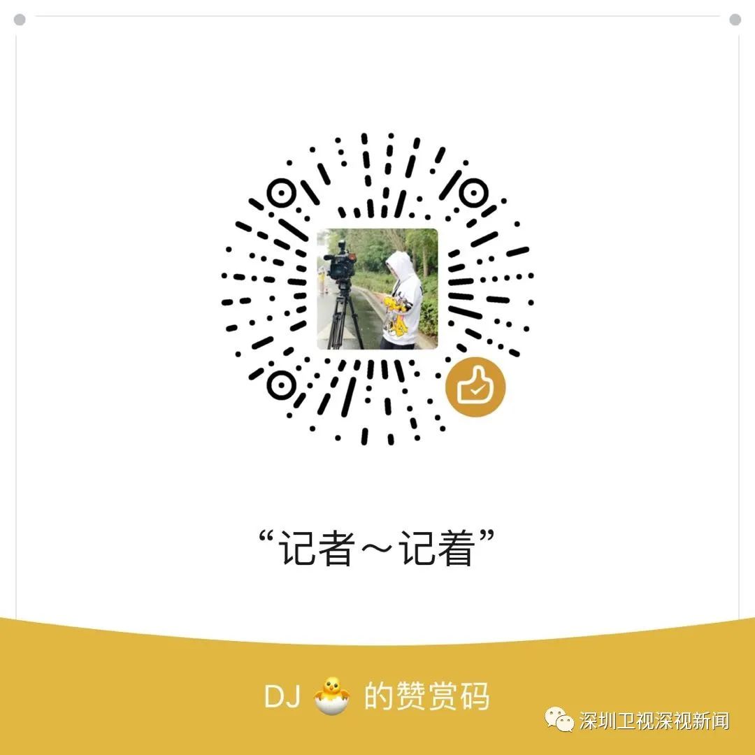 深圳体育经济,深圳体育产业政策