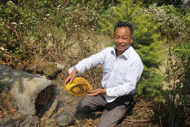 “三剑客”的小康梦——“土蜂王”杨荣富父子的创业人生