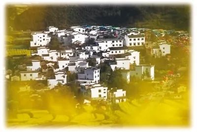 人民日报海外版专访江西省长易炼红:江西中医药发展风景正好