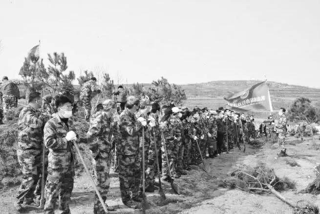 威海市开展清明节祭扫活动,别样清明一样情云上祭祀寄哀思