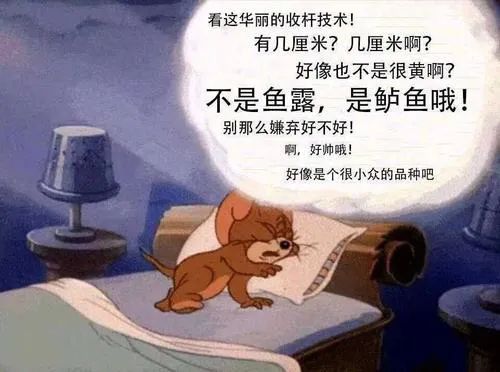 动森能钓黑鲈鱼吗,动森黑鲈鱼出现时间