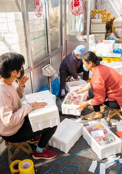 寿光蔬菜电商主要是通过什么销售,寿光菜农电商新闻