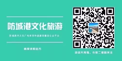 防城港哪里的海鲜便宜旅游攻略,沿海岸线走哪条旅游线最好