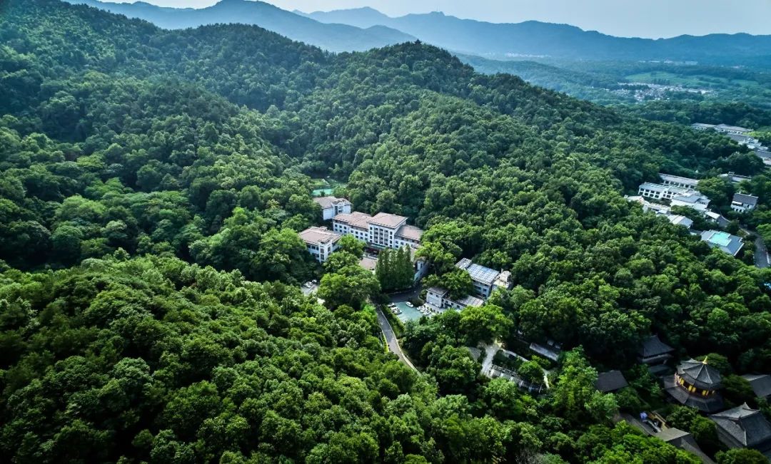 且听风吟且看花开,且听风吟看花开