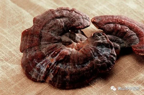 石斛灵芝天麻茶的功效,石斛枸杞灵芝煲汤的功效