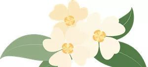 中国辣椒之都和辣椒之城,哪个地方辣椒最香