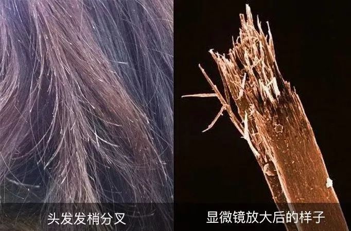 懒人必备|日本纳米级干发帽，玻尿酸加持，让头发柔顺如丝无静电