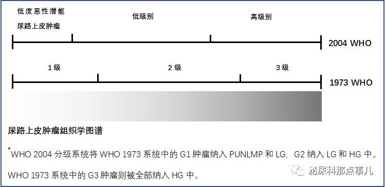 eau2020,肌层浸润性膀胱癌欧美
