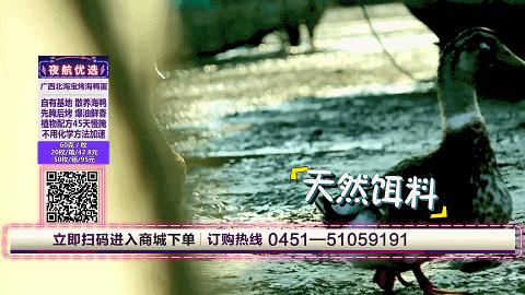 腌好的海鸭蛋怎么做,海鸭腌蛋土鸭蛋