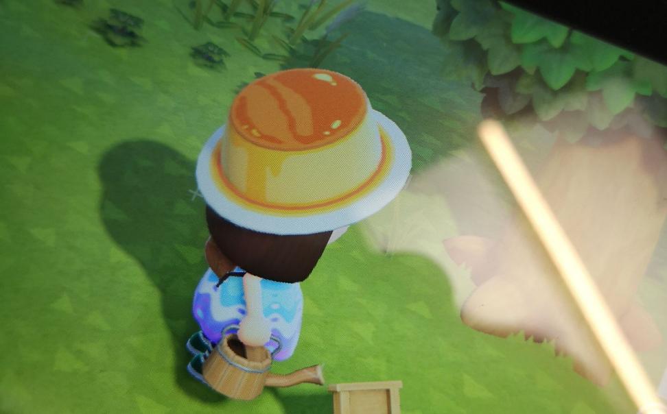 玩动森挣人民币,动森几百万怎么赚