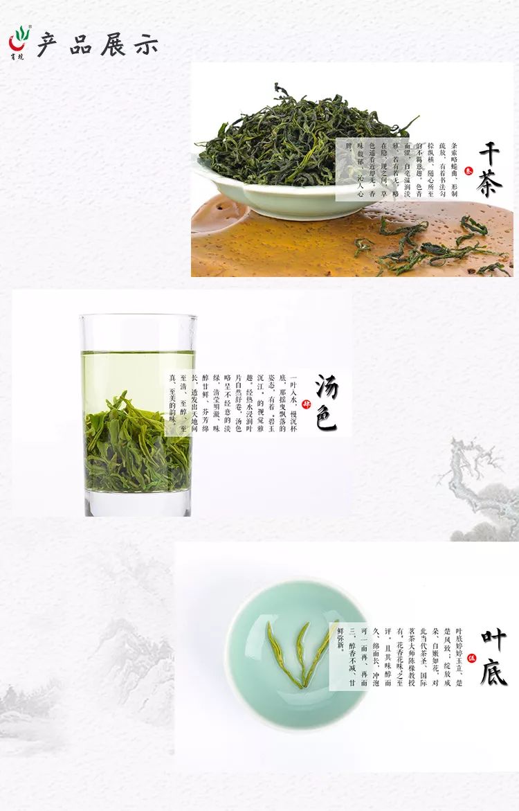 2020新茶上市|肖坑邀您一起直播采茶！