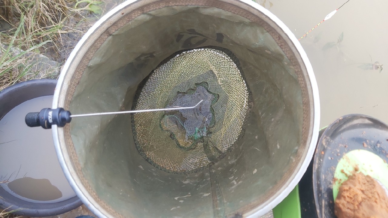 邕江巴西军团覆灭小记,钓友全军出击