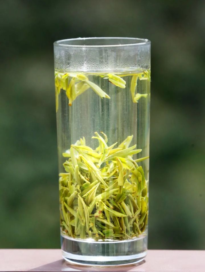 好茶不怕晚，好茶很好喝……今年不容易，好茶还不贵！“特惠版”东坑“雨前茶”今天上线