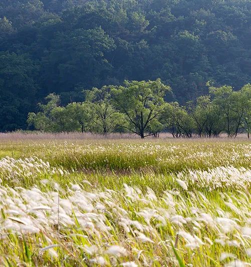 为什么会出现狂风骤雨,为什么会刮狂风