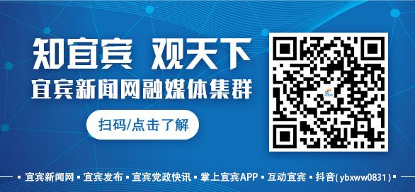 逆势而上,逆势而上视频