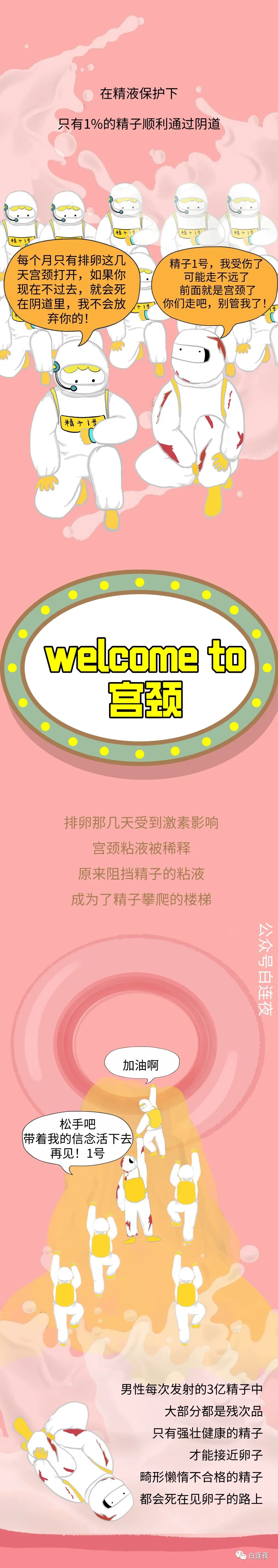 漫画科普常识10000个,漫画科普故事全集