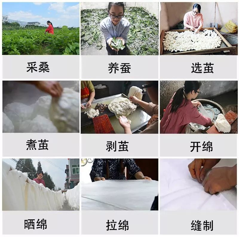 蚕丝被相关报道,桑蚕丝被曝光