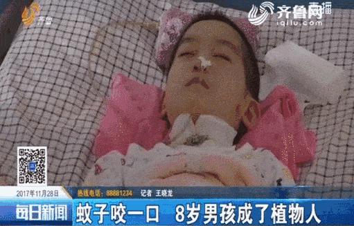 日本人真的很会玩吗,日本最好的防蚊方法