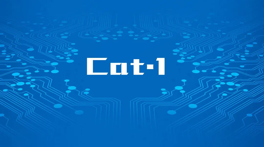 Cat.1火速“上位”，成通信圈“新宠”