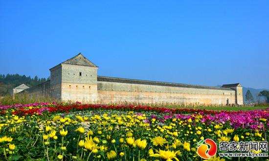 江西赣州秀儿图片,赣南秀儿