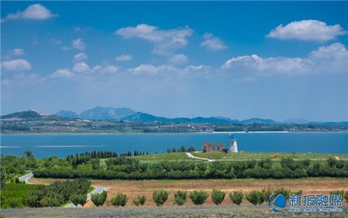 日照花仙子花海,畅游日照美景