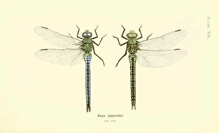 科技爱好者周刊102期,科技爱好者日报