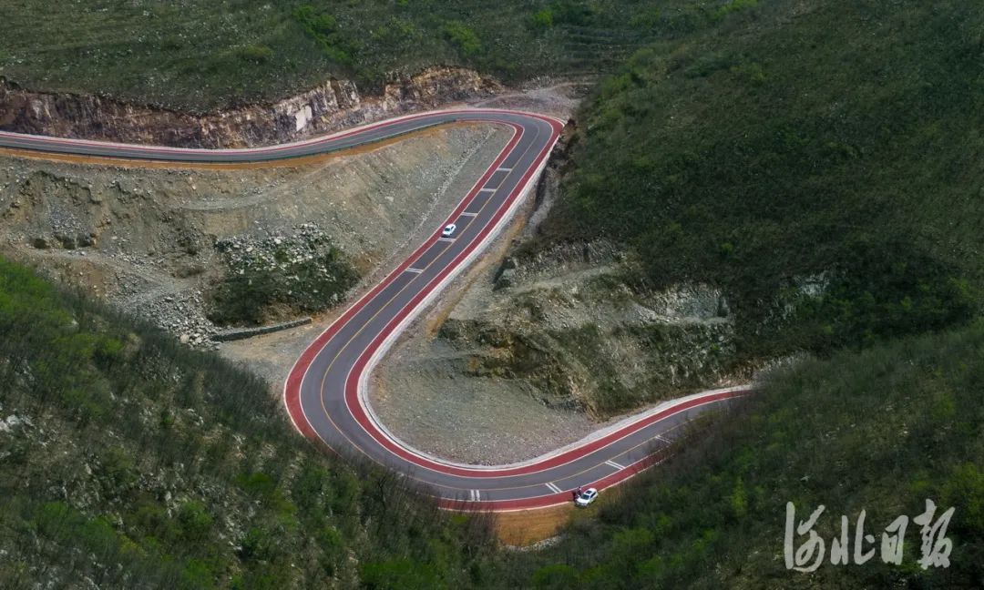 石家庄的春天真的太美啦,石家庄春天看花