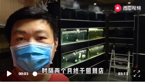 没有过滤的造景缸,没有造景的鱼缸好看吗